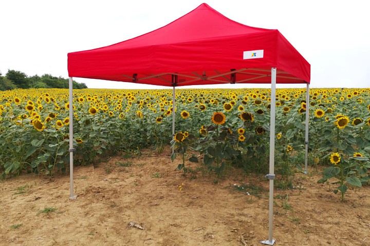 Vand cort publicitar 3m*6m